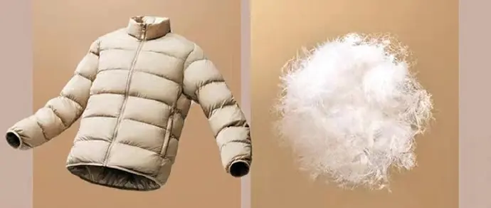down jacket.jpg